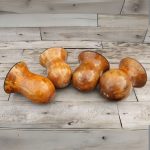 Cuia Chimarrão Porongo Sem Pé Bafo Redonda Fábrica Atacado Lisa